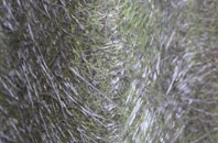 Giggshill fibreglass roof work